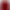 Rella burgundy blazer product image