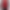 Dolly is red blazer product image